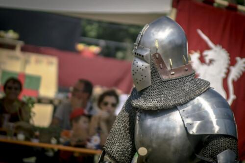 armigeri_2